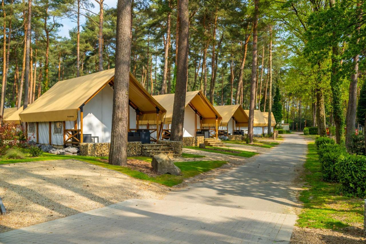 Europarcs Hoge Kempen Зютендал Экстерьер фото